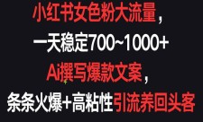 小红书大流量女粉项目，一天稳定700~1000+，Ai撰写爆款文案，条条火爆+高粘性引流养回头客